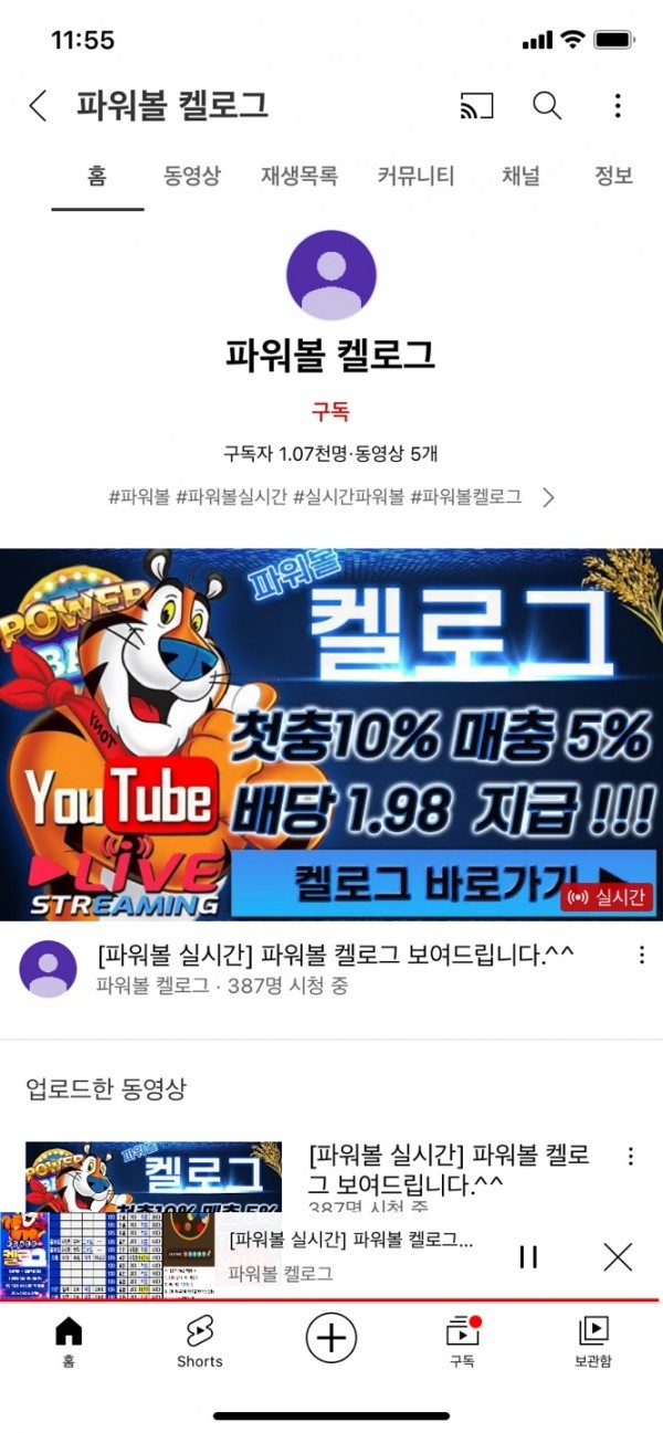 유튜브 캘로그 가족방 추천업체 유니크 파워볼베팅 442만원 먹튀